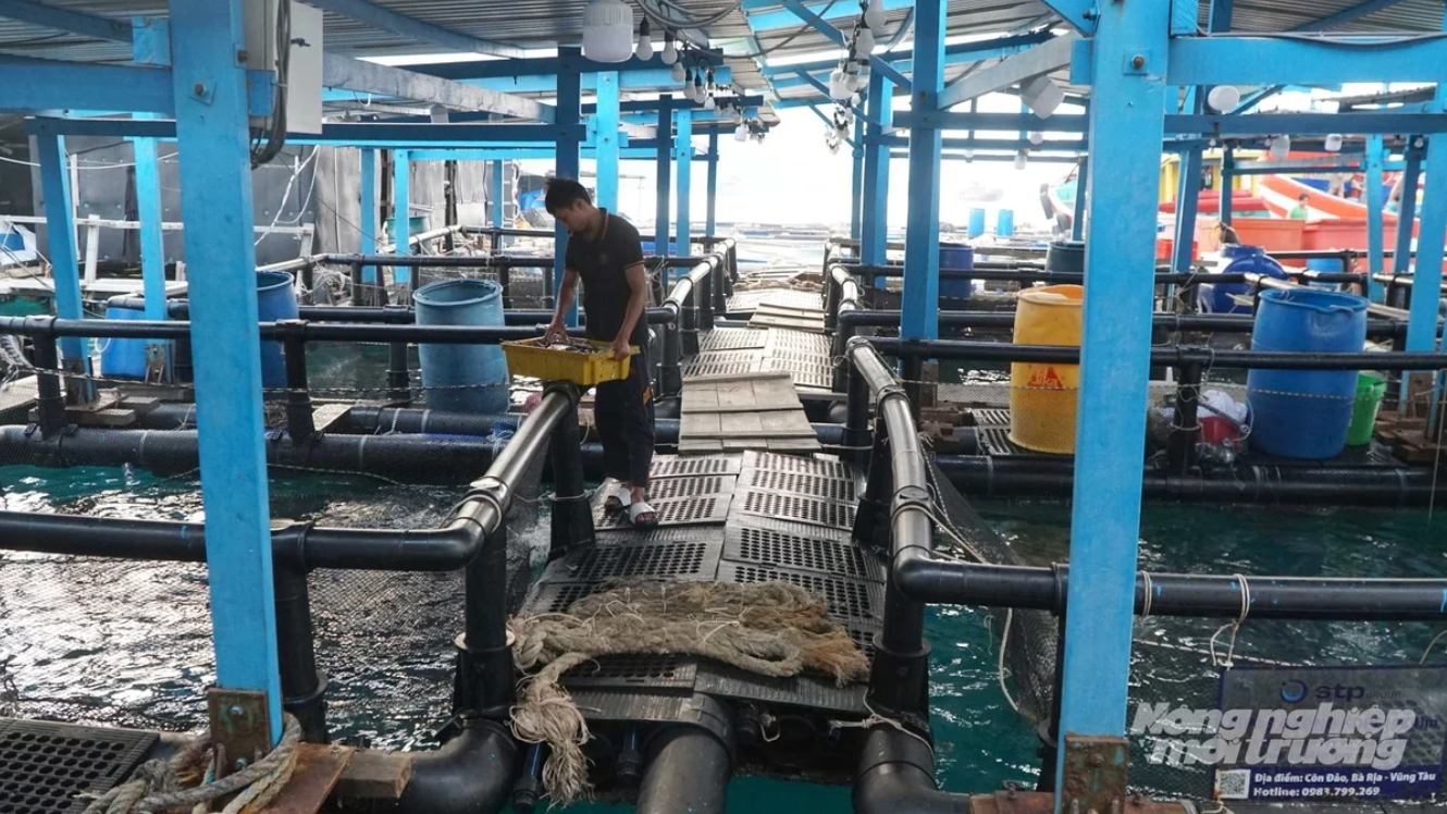 Marine aquaculture emerges as a new growth driver for Ho Chi Minh City